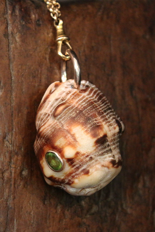 Carolyn Roumeguere Lamu Shell with Peridot Urban Zen